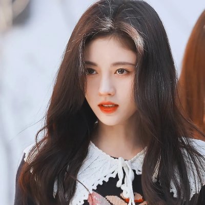 狗的生涯 在线观看