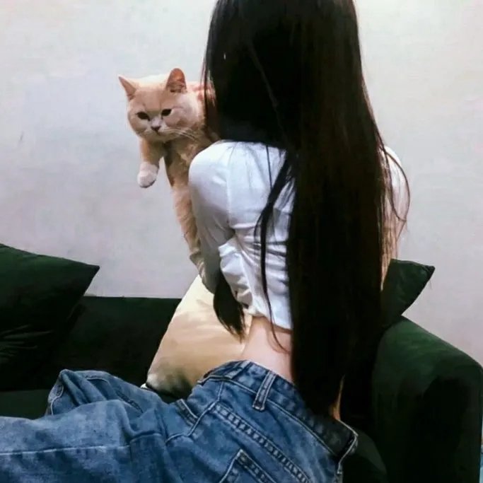 致所有我曾爱过的男孩2 在线观看
